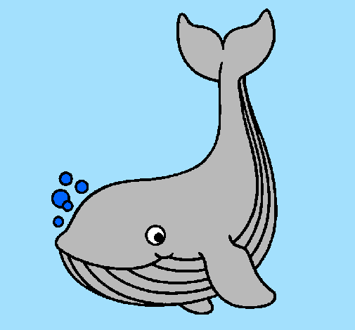 Desenho Pequena baleia pintado por leo