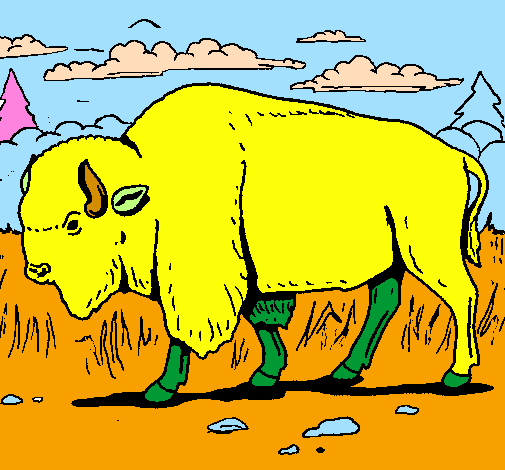 Desenho Búfalo pintado por liynali