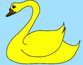 Desenho Cisne pintado por pool