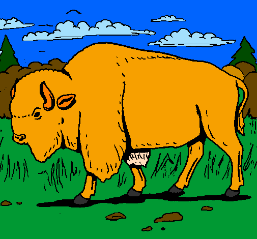 Desenho Búfalo pintado por major