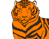 Desenho Tigre pintado por Duarte