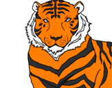 Desenho Tigre pintado por Otavio