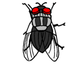 Desenho Mosca negra pintado por mosca