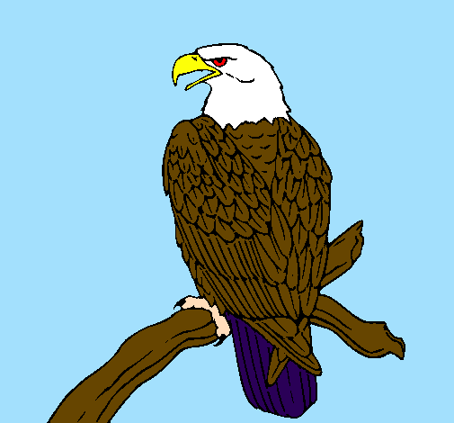 Desenho Águia num ramo pintado por kaue