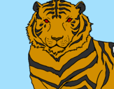 Desenho Tigre pintado por PIU PIU