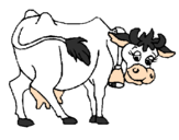 Desenho Vaca pintado por vitoria