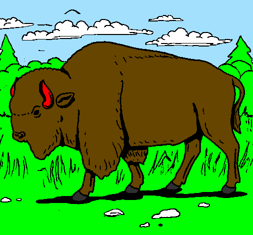 Desenho Búfalo pintado por isaac