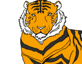 Desenho Tigre pintado por gustavo