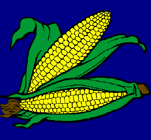 Desenho Espiga de milho  pintado por Malú 