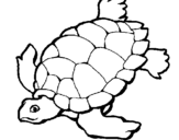 Desenho Tartaruga pintado por tartaruga