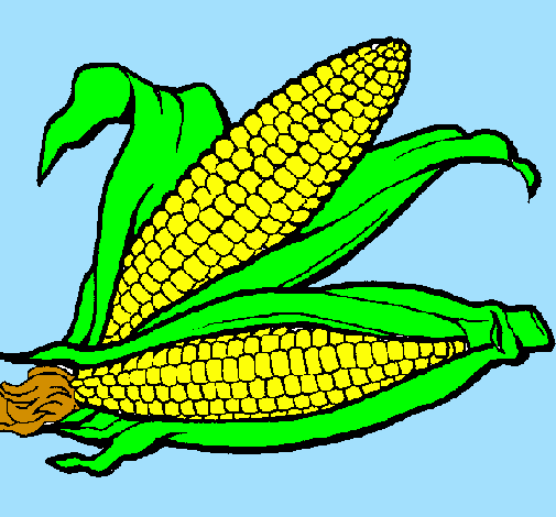 Desenho Espiga de milho  pintado por paolla