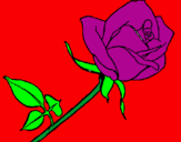Desenho Rosa pintado por Luis Filiphe