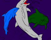 Desenho Golfinhos a brincar pintado por Mari