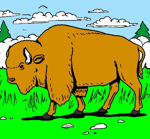 Desenho Búfalo pintado por gghfg