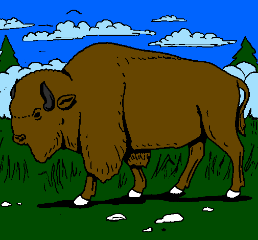 Desenho Búfalo pintado por diogo caldeira rocha