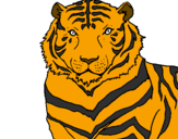 Desenho Tigre pintado por Granbor