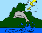 Desenho Golfinho e gaviota pintado por Pedro