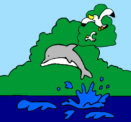 Desenho Golfinho e gaviota pintado por Wanessa