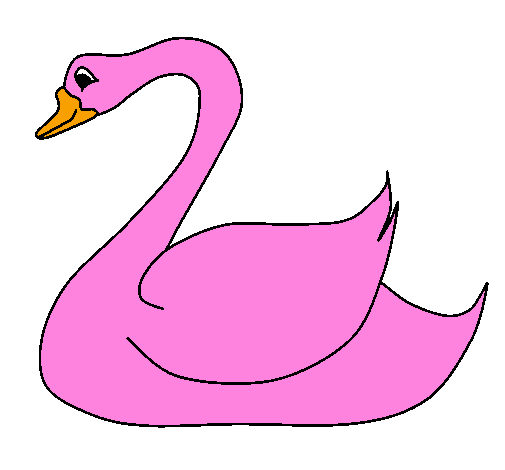 Desenho Cisne pintado por rosinha