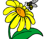 Desenho Margarida com abelha pintado por leo