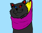 Desenho Gato dentro de uma meia pintado por gato tico