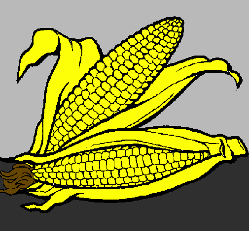Desenho Espiga de milho  pintado por lucas henrique 