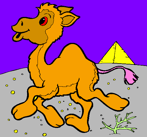 Desenho Camelo pintado por tiago