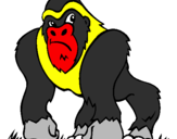 Desenho Gorila pintado por jg