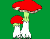 Desenho Cogumelos pintado por Glaucia*