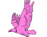 Desenho Águia a voar pintado por Vitor  emanuel dos santos