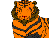 Desenho Tigre pintado por ANTONIO