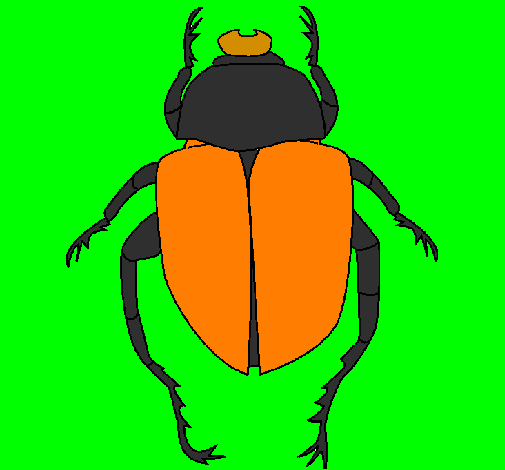 Desenho Escaravelho pintado por pedro