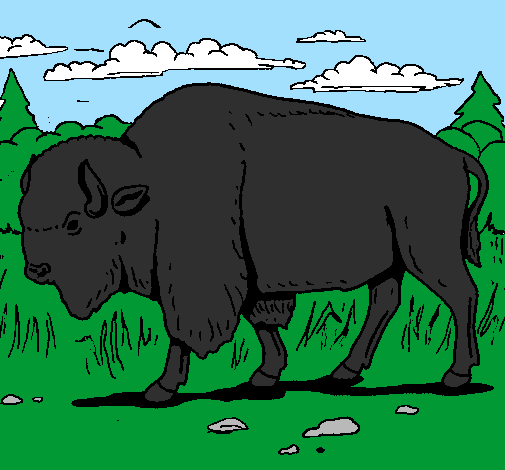 Desenho Búfalo pintado por gabriel passos