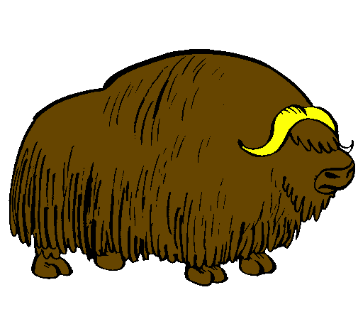 Desenho Bisonte  pintado por sofia