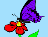 Desenho Borboleta numa flor pintado por thais miiller mendes