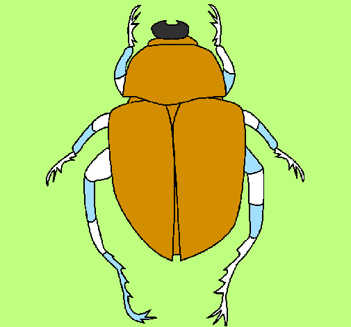 Desenho Escaravelho pintado por jaqueline 11 anos