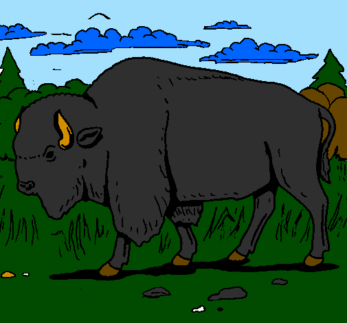 Desenho Búfalo pintado por edmar