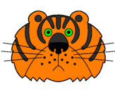 Desenho Tigre III pintado por Badida - Sensação