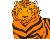 Desenho Tigre pintado por tiago