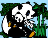 Desenho Mamã panda pintado por lionnay maicky