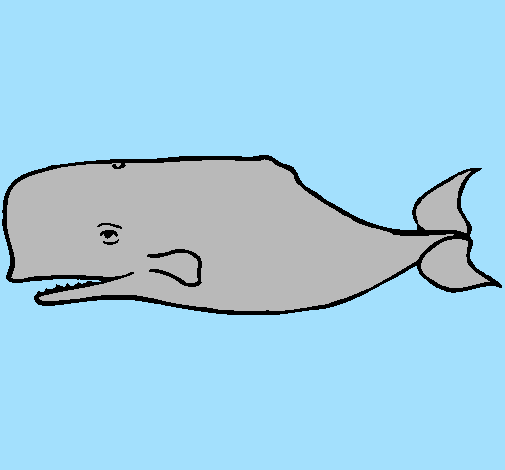 Desenho Baleia azul pintado por kaio