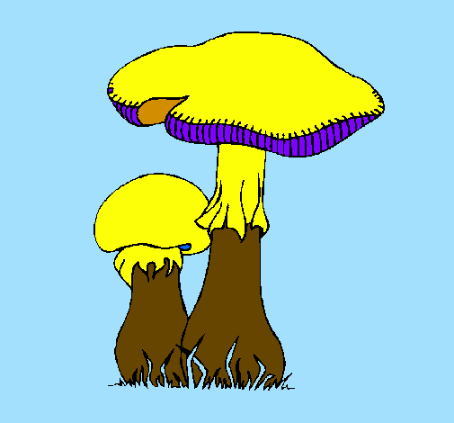 Desenho Cogumelos pintado por jp