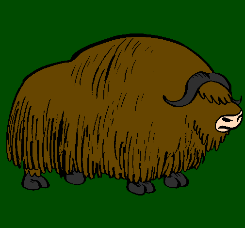 Bisonte 