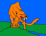 Desenho Tigre com dentes afiados pintado por GUI
