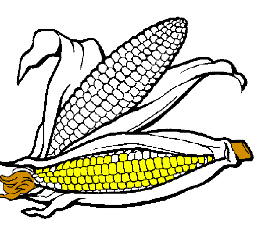 Desenho Espiga de milho  pintado por GUI TONET