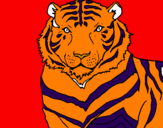 Desenho Tigre pintado por  allan