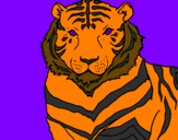 Desenho Tigre pintado por maria  vitoria