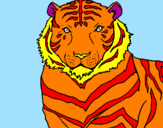 Desenho Tigre pintado por dudu