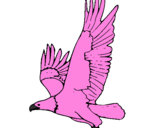 Desenho Águia a voar pintado por águia