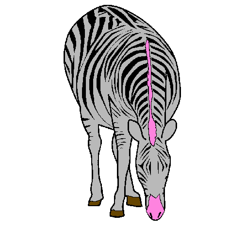 Desenho Zebra pintado por jp